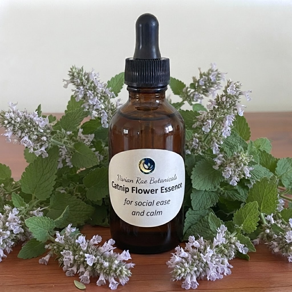 Bottle of Catnip Flower Essence among flowering catnip sprigs