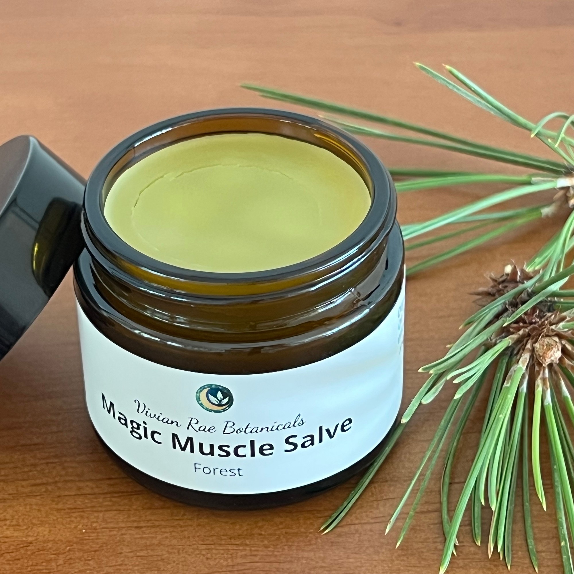 Open jar of Forest Magic Muscle Salve beside fresh pine sprigs