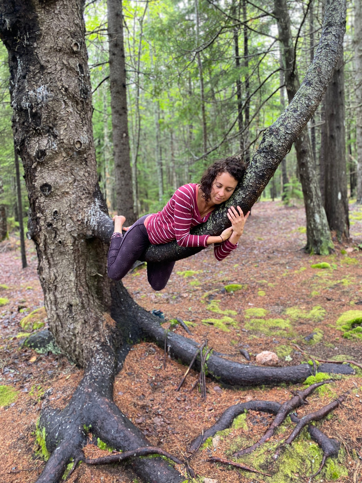 Vivian lying along a slanting tree limb, hugging it, in a forest