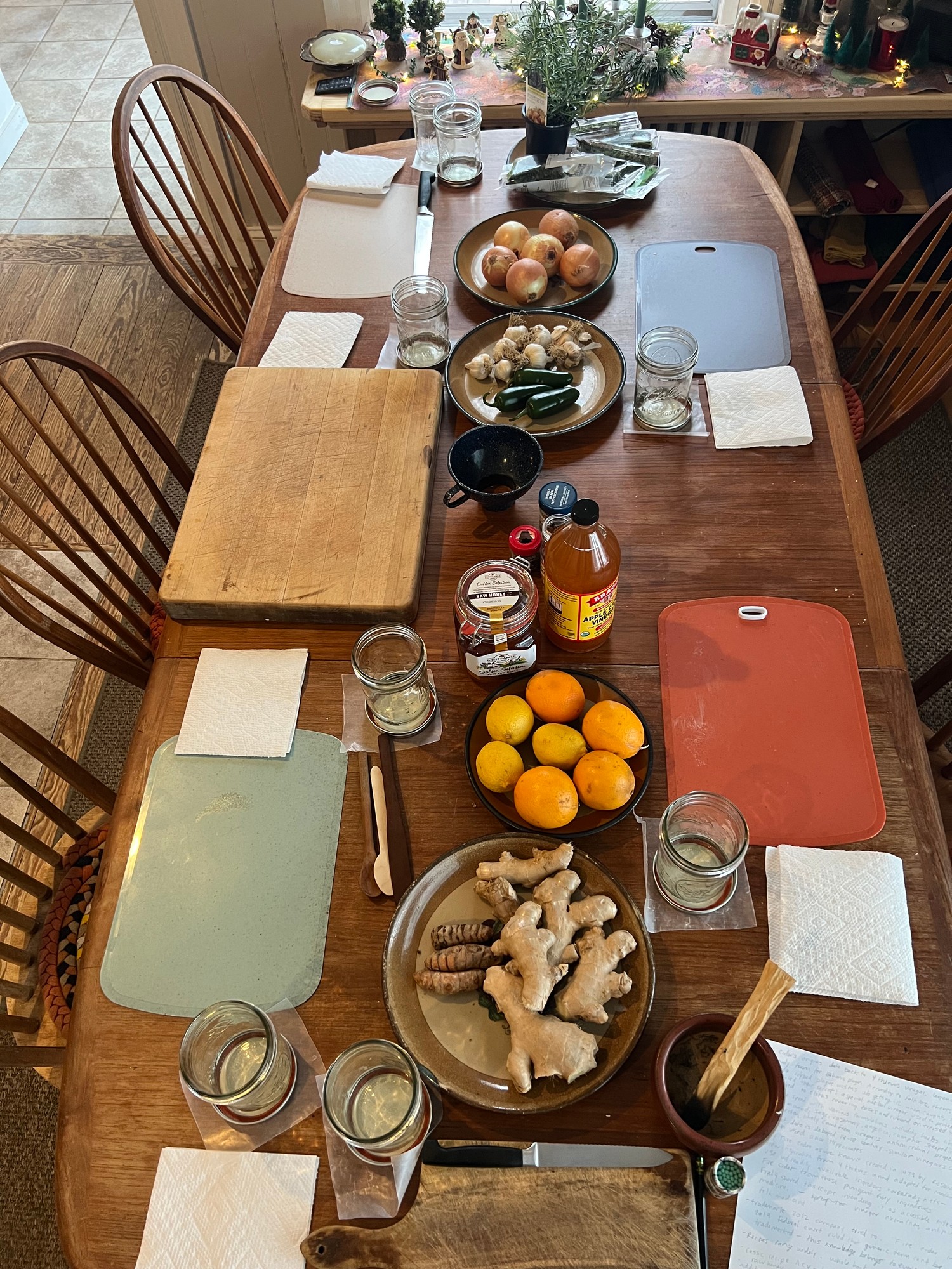 Long wooden table set for a workshop with jars, citrus, garlic and roots