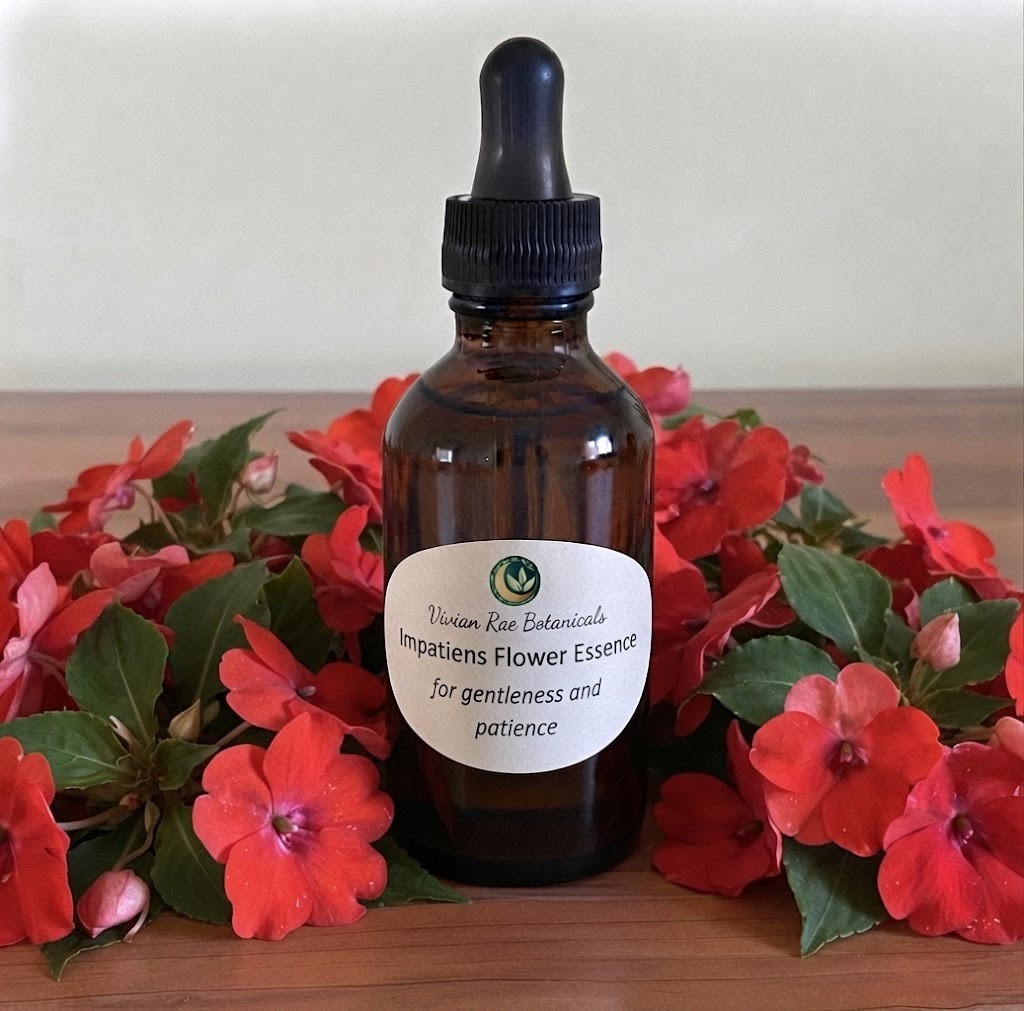 Bottle of Impatiens Flower Essence among red impatiens flowers