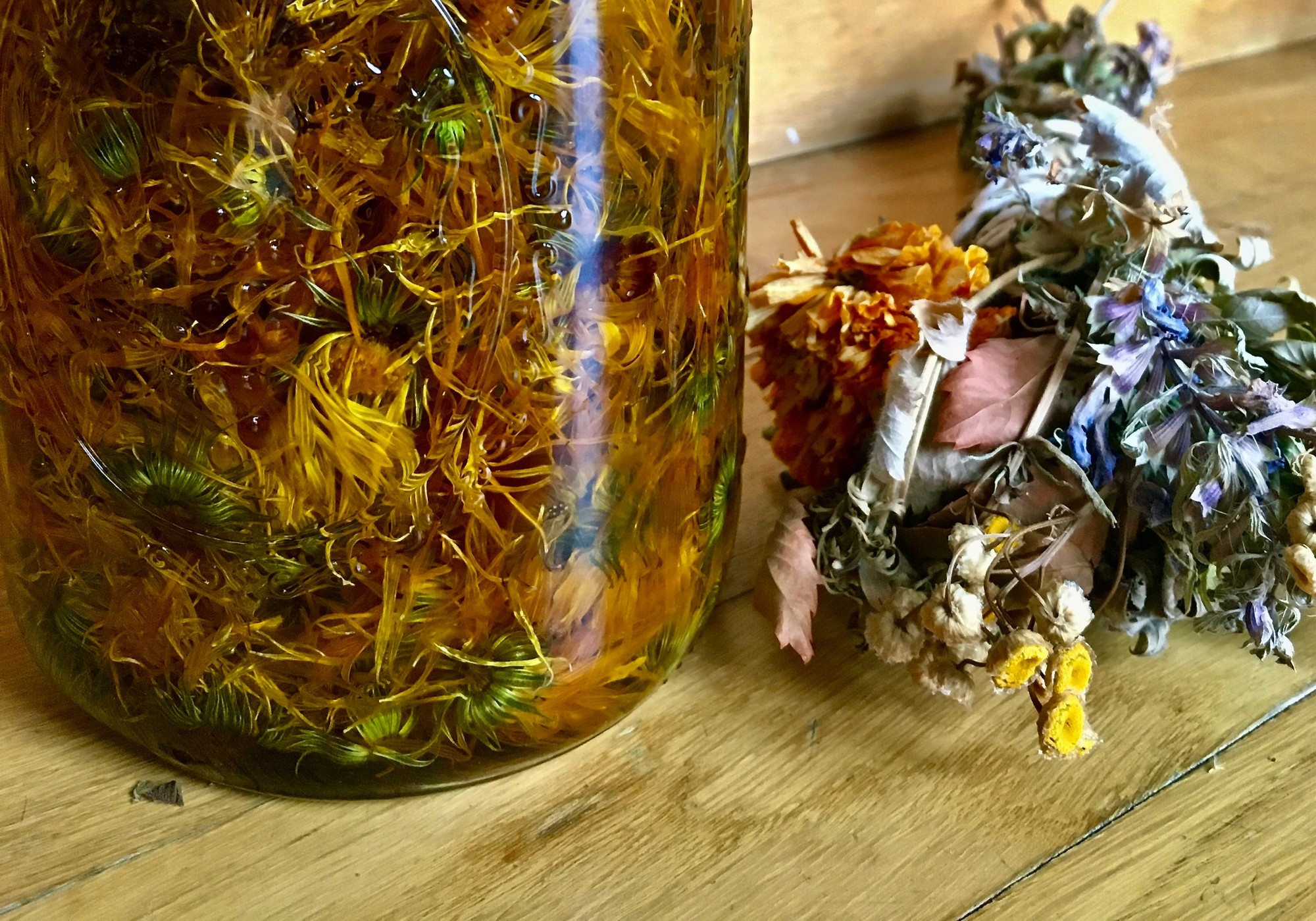 Glass jar of calendula flowers steeping in oil beside a bundle of dried flowers and leaves