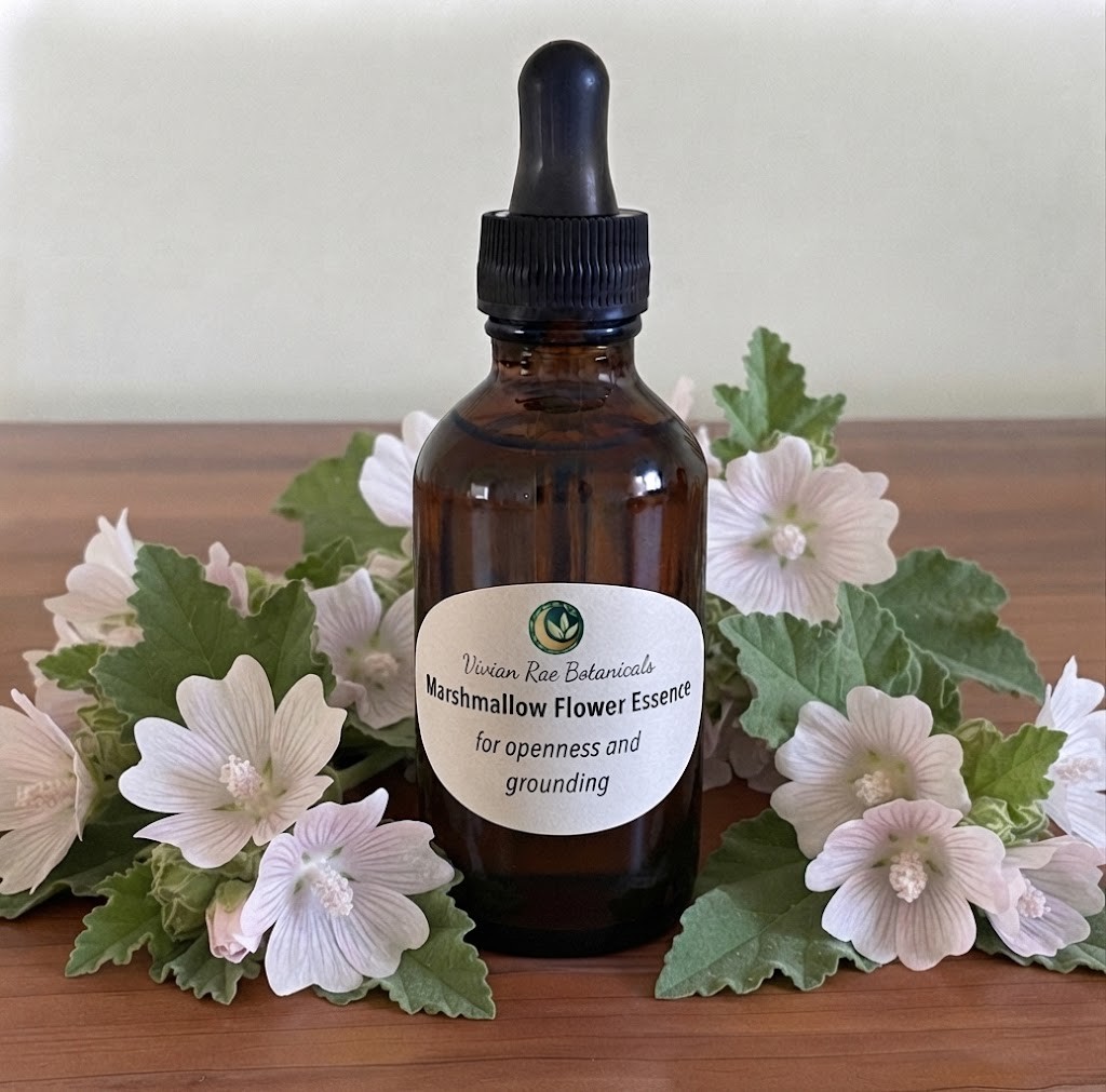 Bottle of Marshmallow Flower Essence among pale pink marshmallow flowers