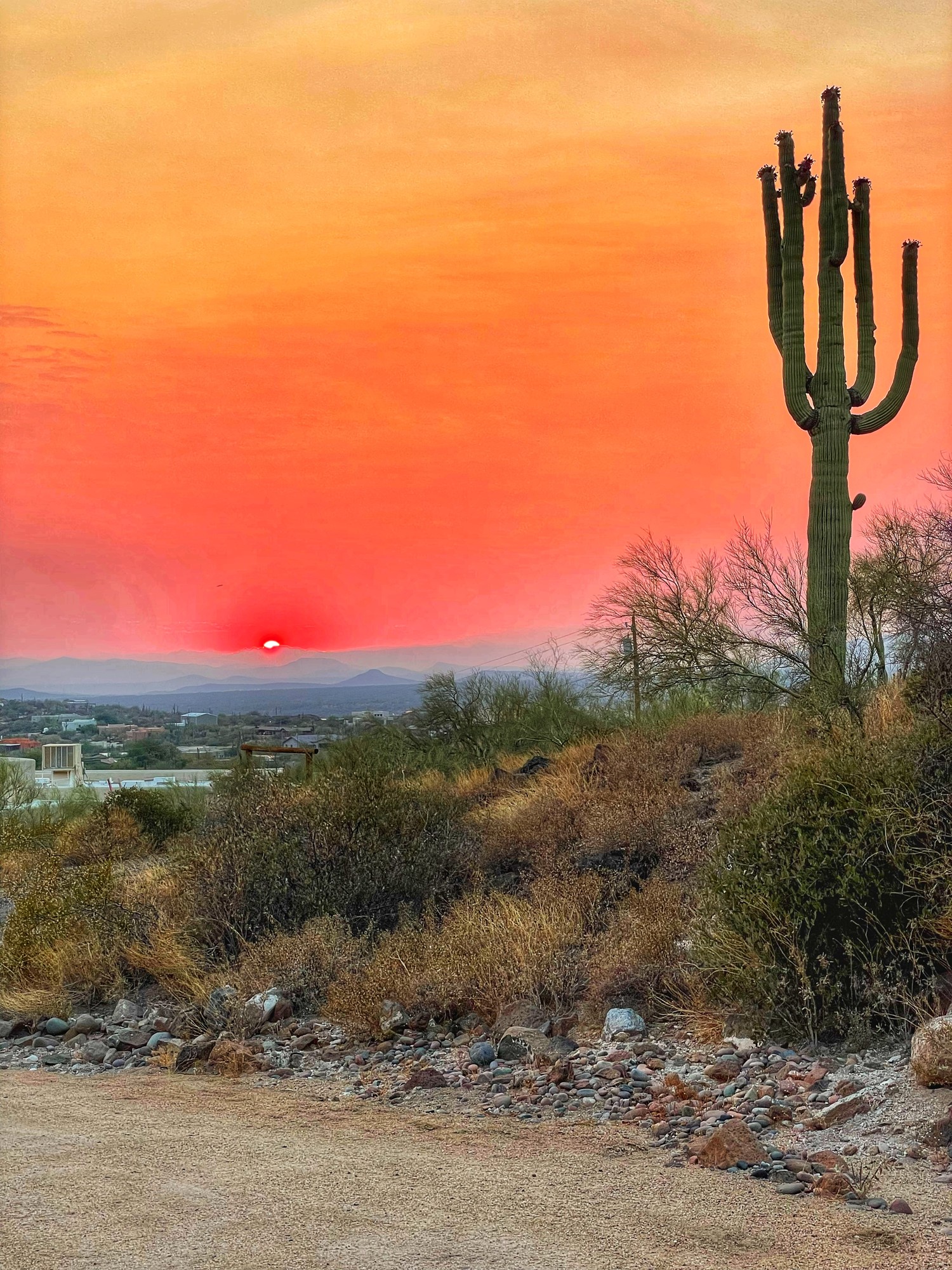 Saguaro cactus beside a red and orange sunset over desert hills
