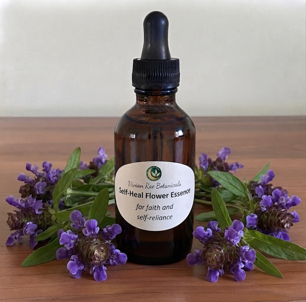 Bottle of Self-Heal Flower Essence among purple self-heal flowers