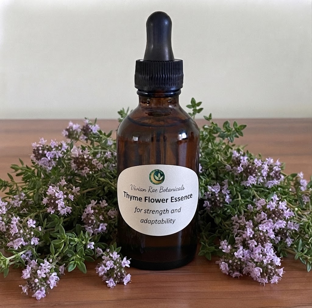 Bottle of Thyme Flower Essence among flowering thyme sprigs