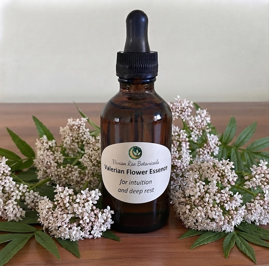 Bottle of Valerian Flower Essence among pale pink valerian flowers