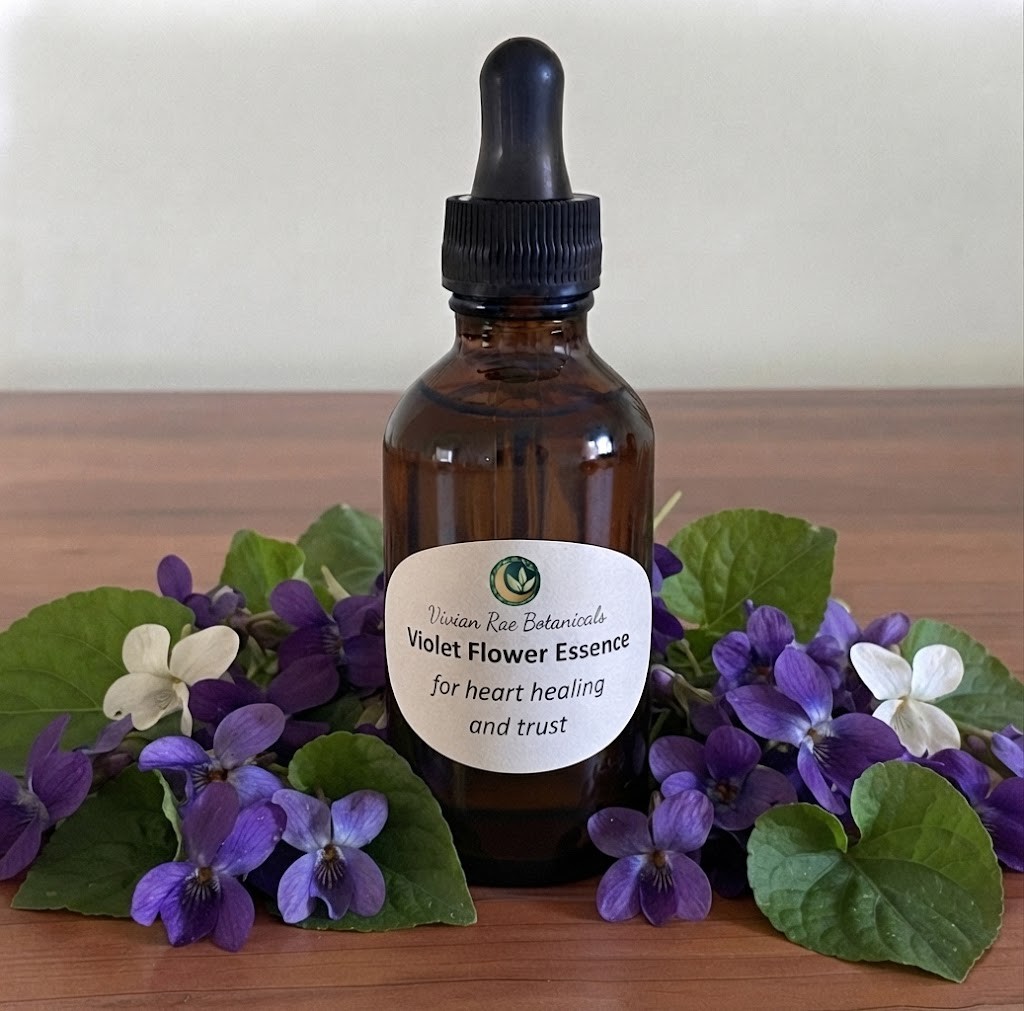 Bottle of Violet Flower Essence among purple and white violets