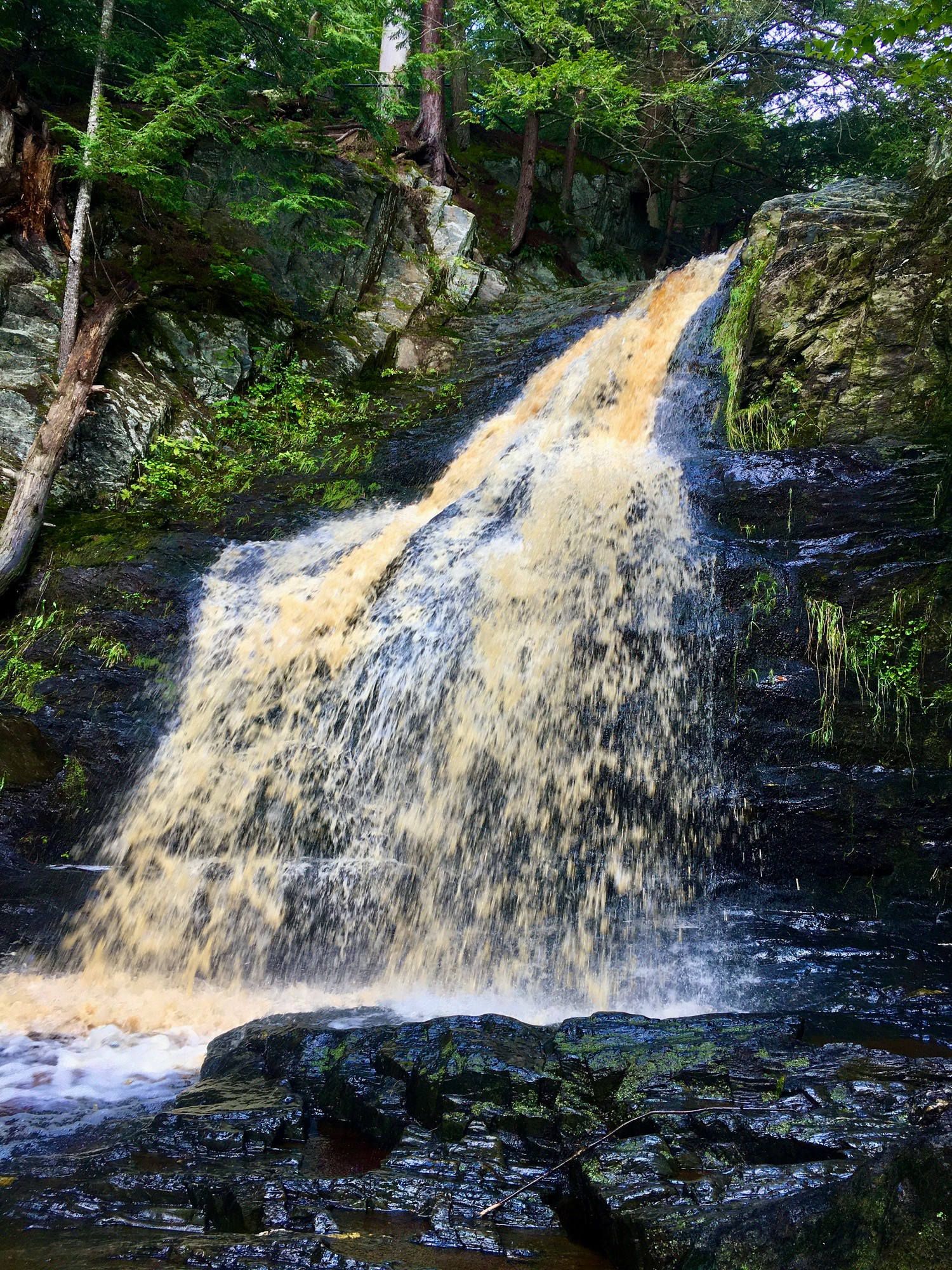 Waterfall pouring over dark rock ledges among evergreen trees