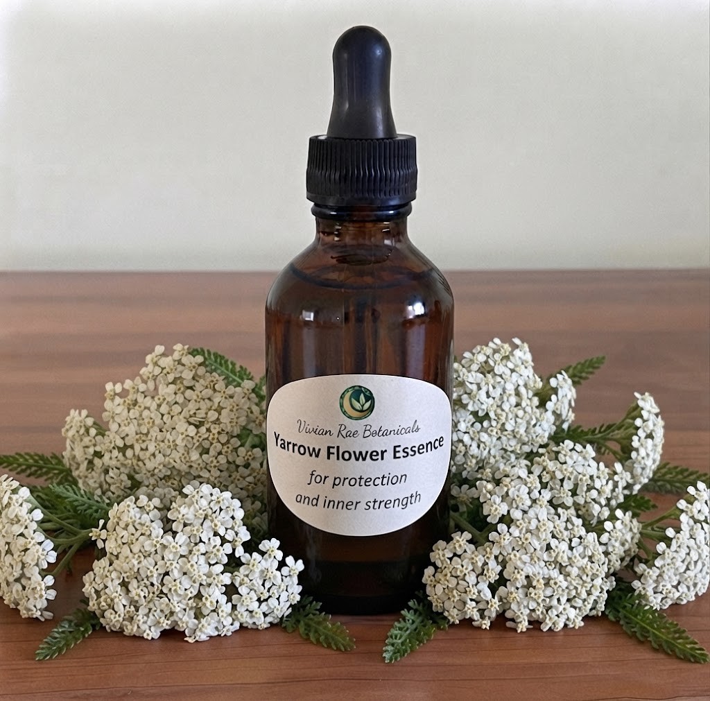 Bottle of Yarrow Flower Essence among white yarrow flowers